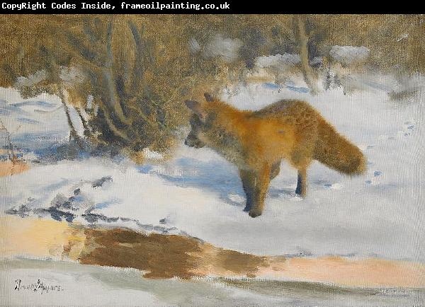 bruno liljefors Winter Landscape with a Fox